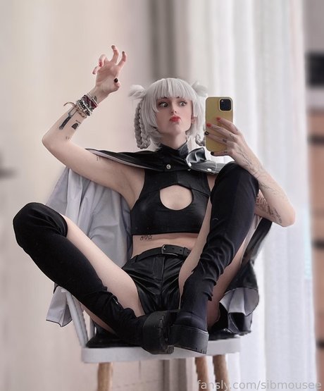 Sib Mouse model high quality galleries