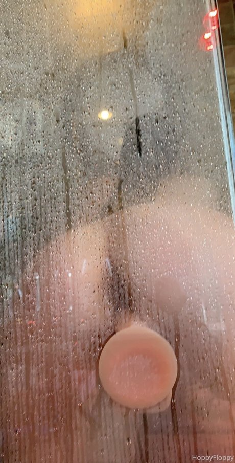 Hoppy Floppy star pretty gallery