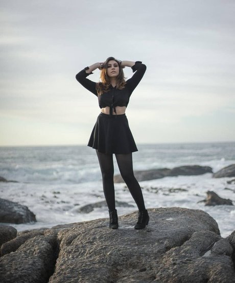 Lanzi nice model archive