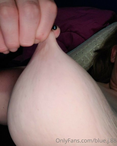 Blue J 88 high quality model img