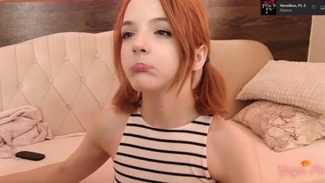 Ginger pie top star picture