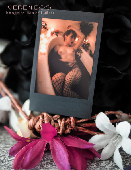 Boogainvillea nice star gallery