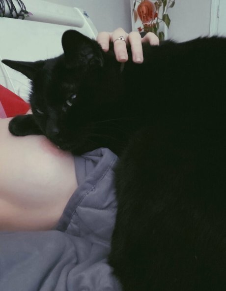 Boogainvillea Profile pic