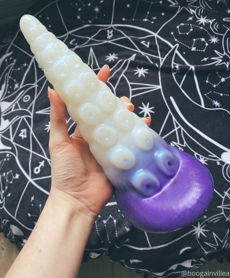 Boogainvillea star adult photos