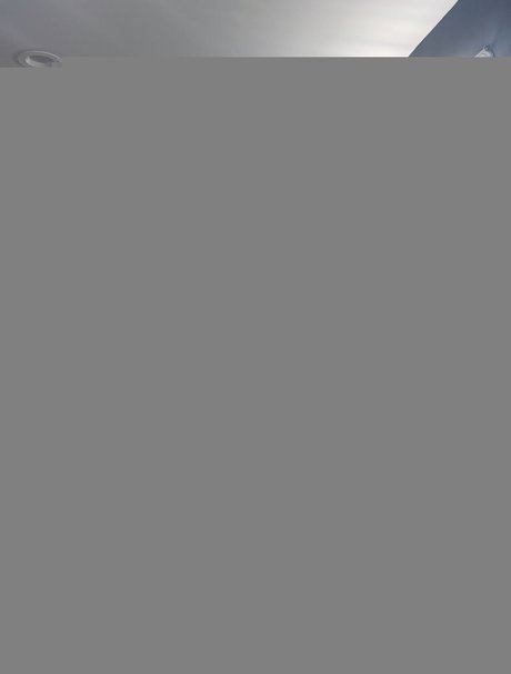 xdydx pornstar exclusive image