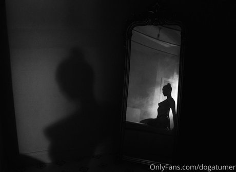 dogatumer beautiful star picture