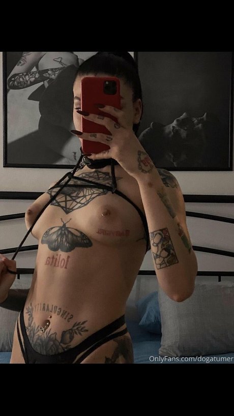 dogatumer star top pic