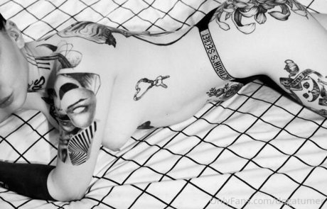 dogatumer star nice gallery