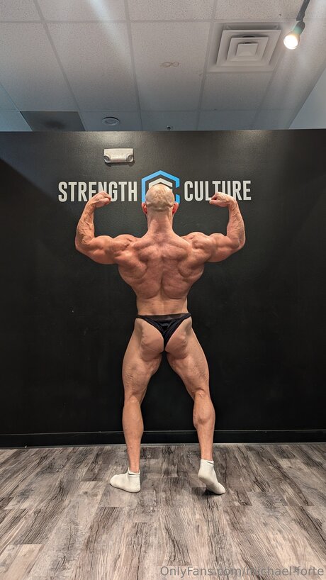 Michael Forte pornstar archive