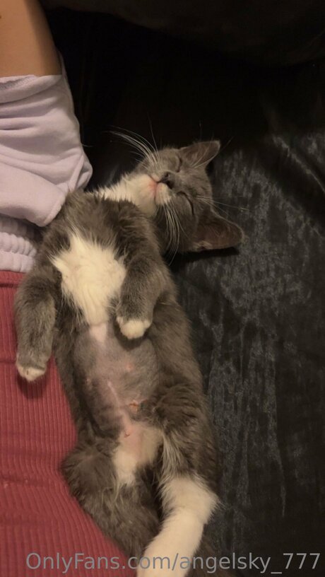 Angelsky 777 star naked img