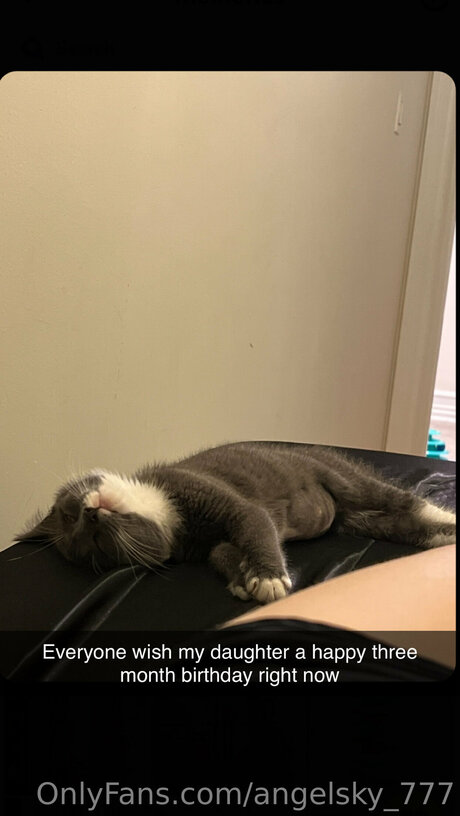 Angelsky 777 top star pics