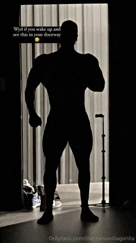 Therealvanillagorilla pornstar nice pictures