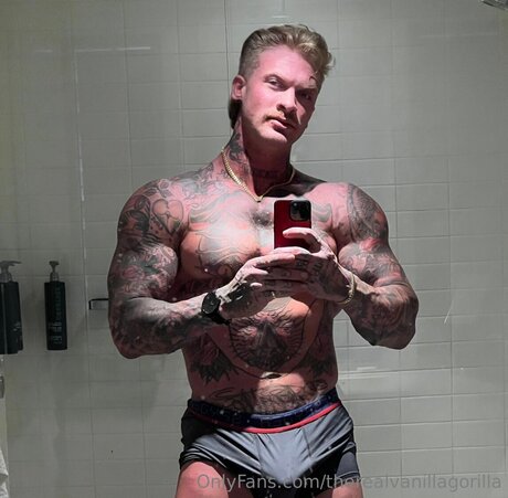 Therealvanillagorilla free actress galleries