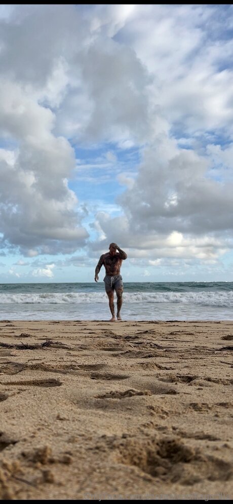 Therealvanillagorilla star art image