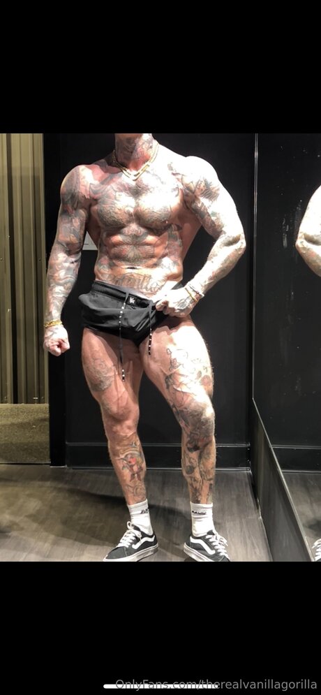 Therealvanillagorilla star beautiful pics