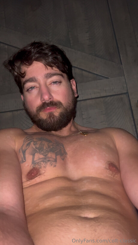 Colt Classic star art galleries