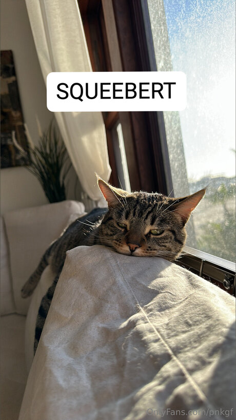 Pnkgf pornstar top pic