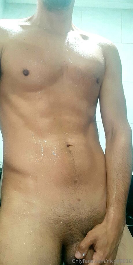 Nico89018 star free picture