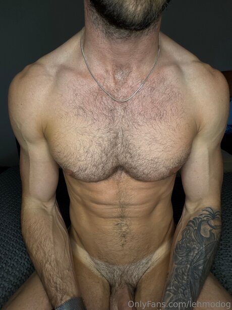 Lehmodog pornstar nice archive