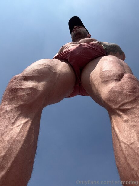 Lehmodog model beautiful img