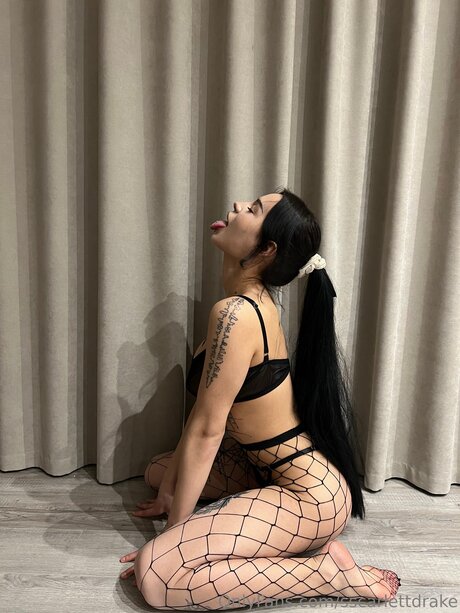 Sscarlettdrake adult star pic