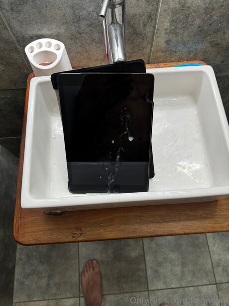 Pologale star free photos