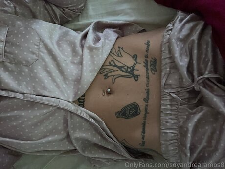 Soyandrearamos8 sexy actress photo