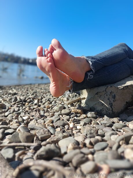 Stella Reeve star hd pictures