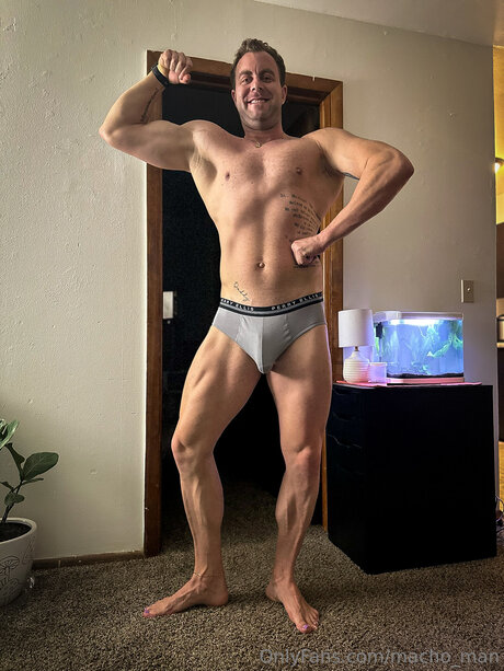 Macho Man star art images