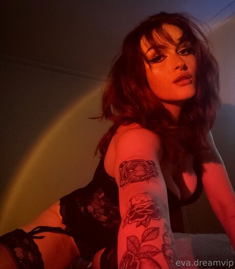 Eva Dreamvip adult actress gallery