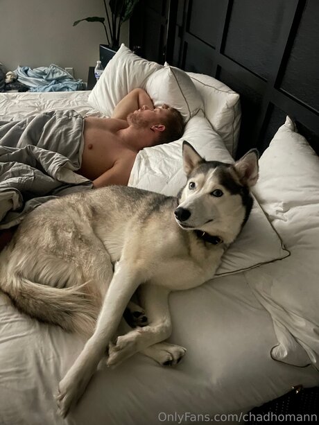 Chadhomann star pornographic gallery