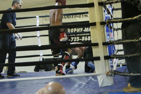 Musclemindsetfree art star archive