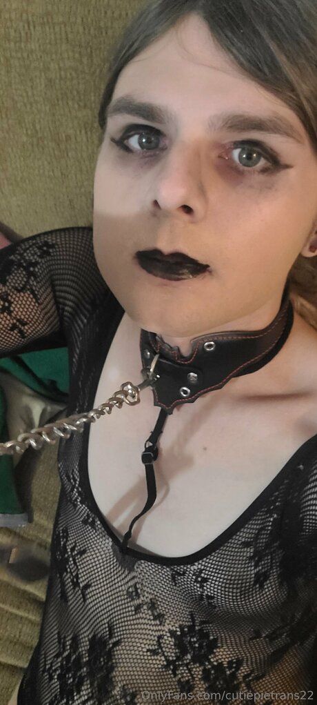 Cutiepietrans22 perfect pornstar pictures