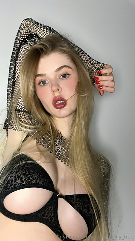 Where Is Lily Free pornstar perfect img