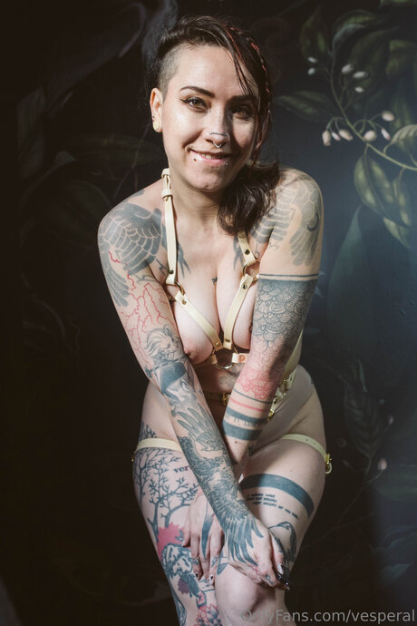 Vesperal model beautiful galleries