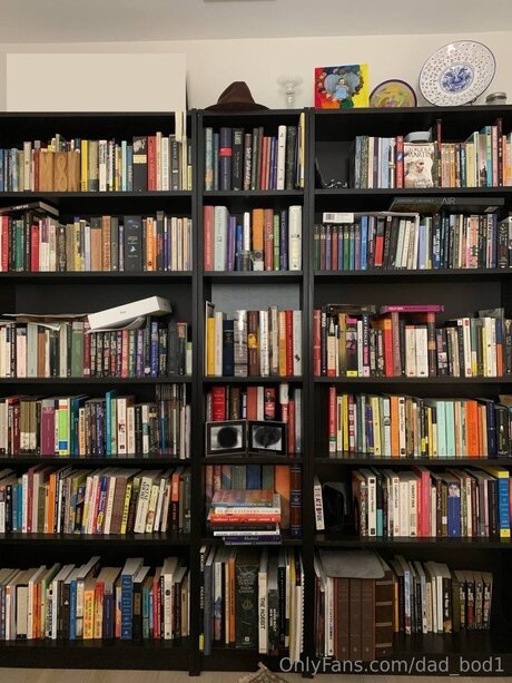 Dad Bod1 pornstar xxx images