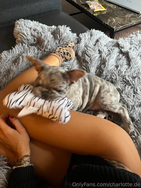 Charlotte De perfect model archive