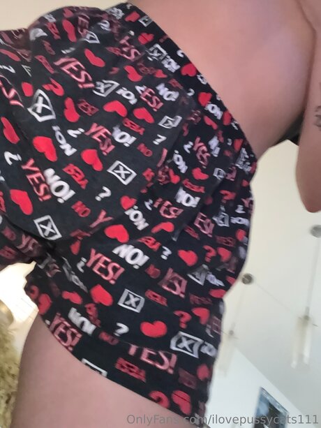 Ilovepussycats111 beautiful model picture