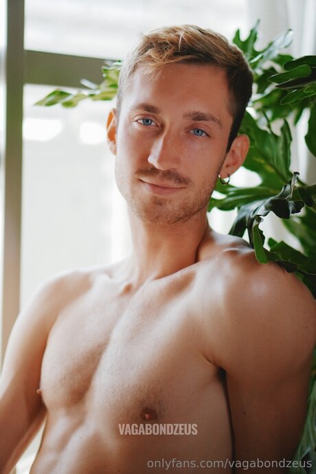 Vagabondzeus beautiful star picture