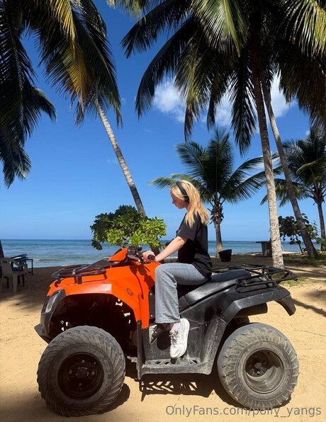 Polly Yangs xxx pornstar galleries