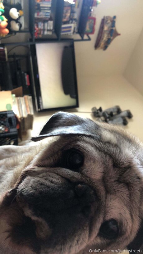 Jumpstreetz star hot pics