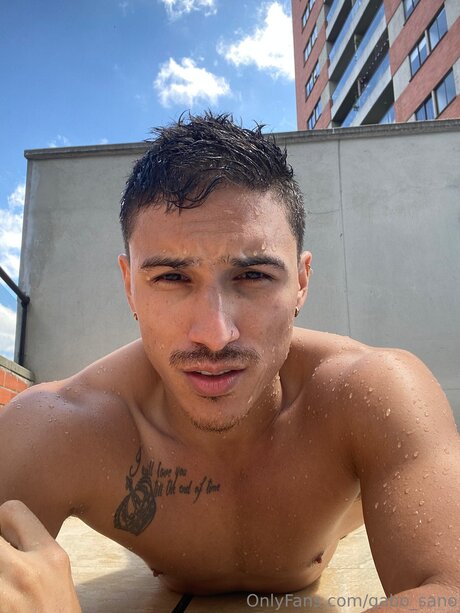 Gabo Sano1 star adult photo