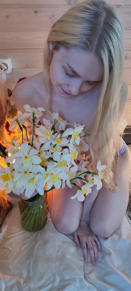 Dreamlilo star exclusive gallery