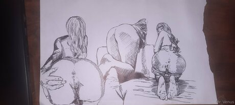 Mr Venus Profile pic