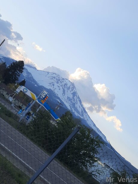 Mr Venus pretty star photo