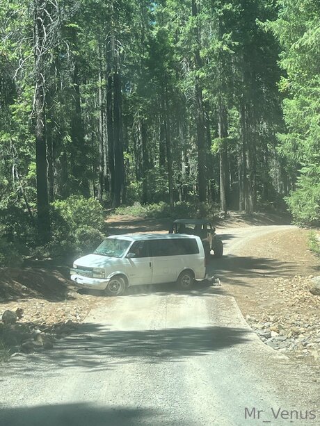 Mr Venus hot model picture