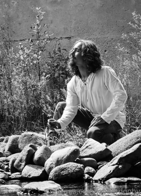 Mr Venus star best archive