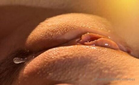 Aliceinvibes pornstar img