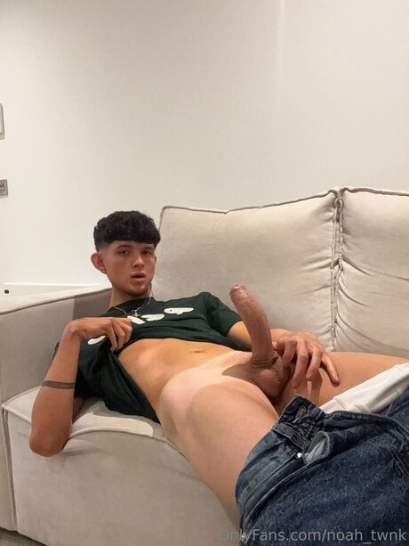 Noah Twnk best model archive