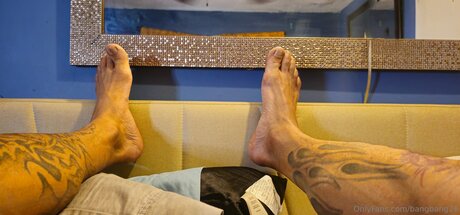 Bangbang26 xxx pornstar archive